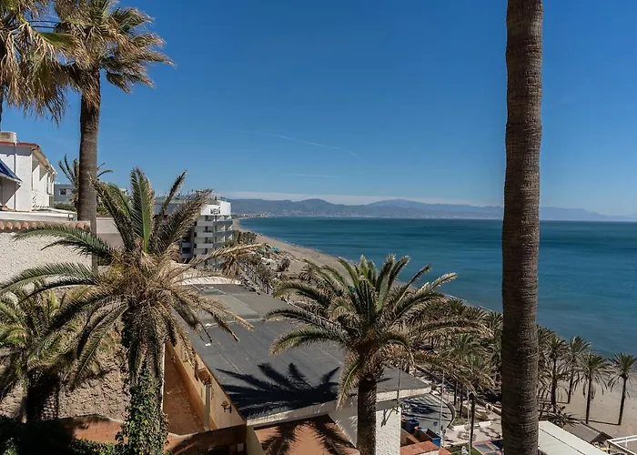 Monkó On The Rock *